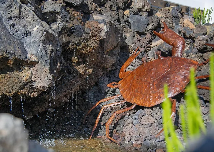 Lejlighed El Jable Haría